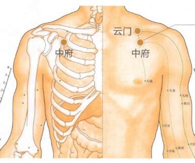 府中穴位置